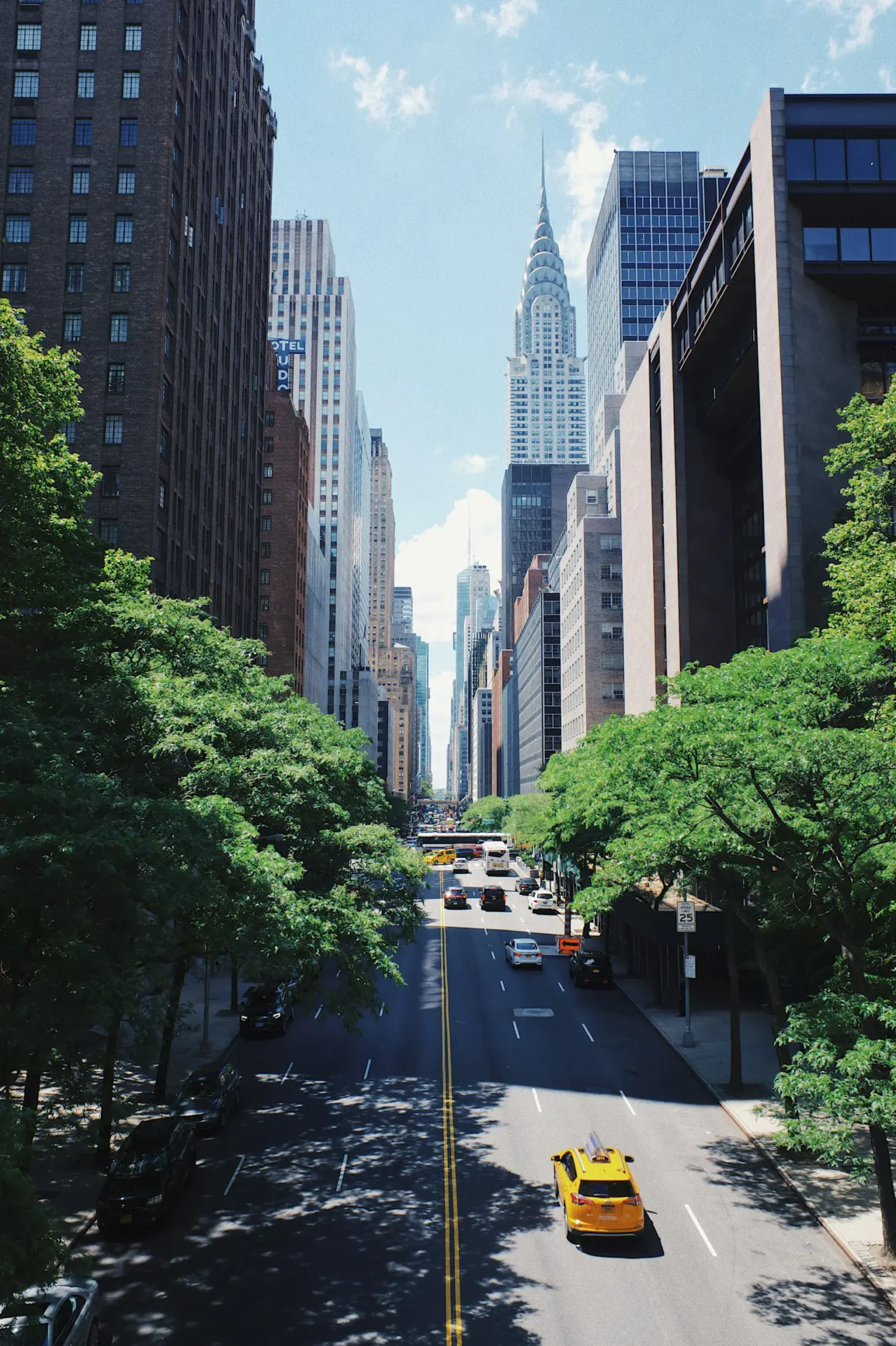 A street with tall buildings and trees in the foreground.