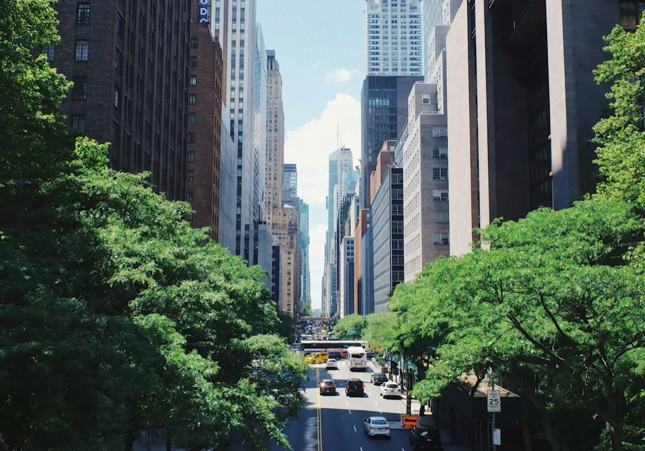 A street with tall buildings and trees in the foreground.